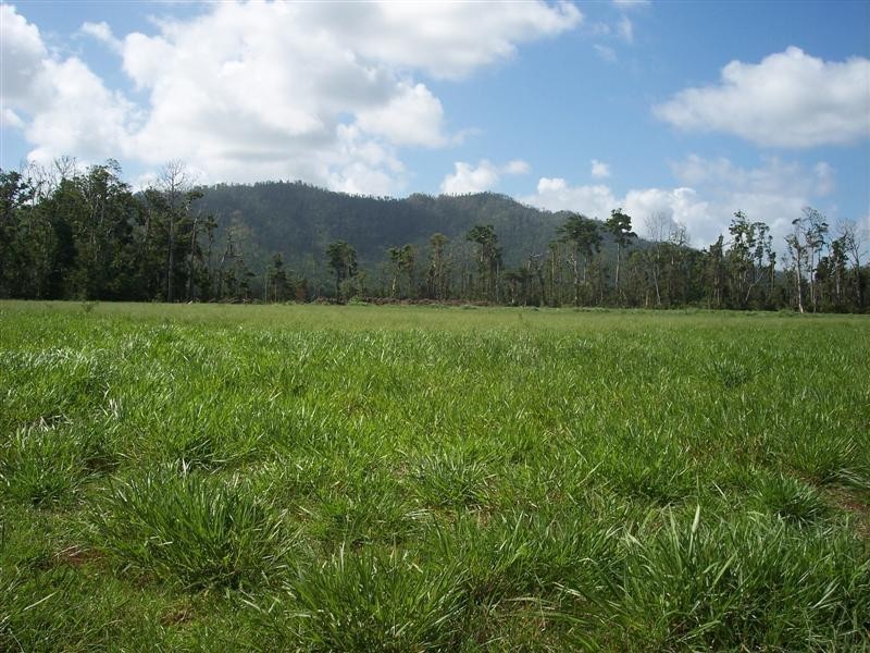 Lot 48/48 Seagull Close, Mission Beach QLD 4852