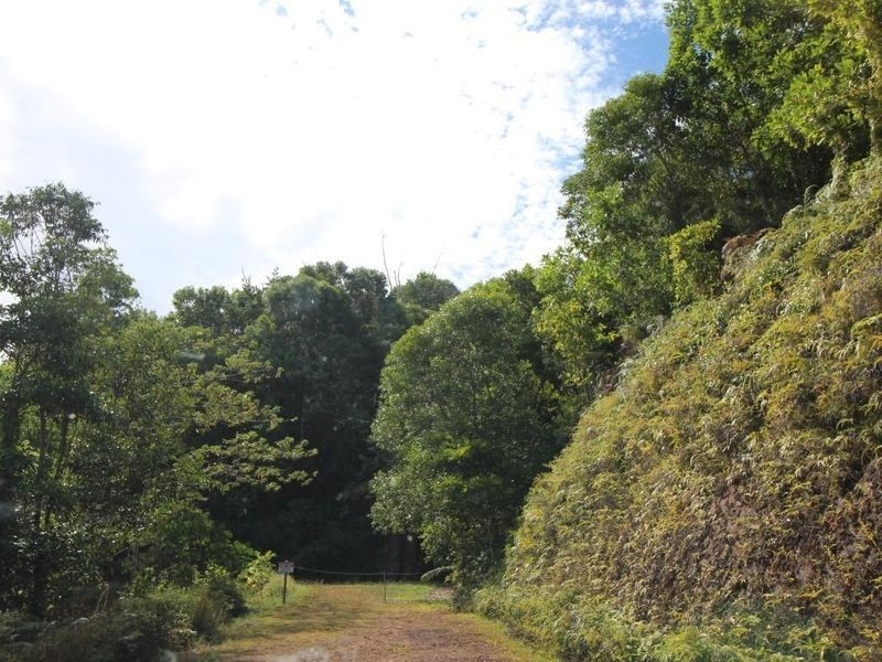 19/Lot 19 Bilic Road, Shell Pocket QLD 4855