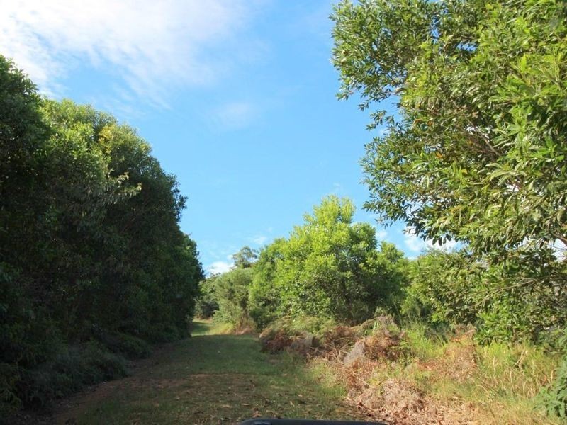 19/Lot 19 Bilic Road, Shell Pocket QLD 4855