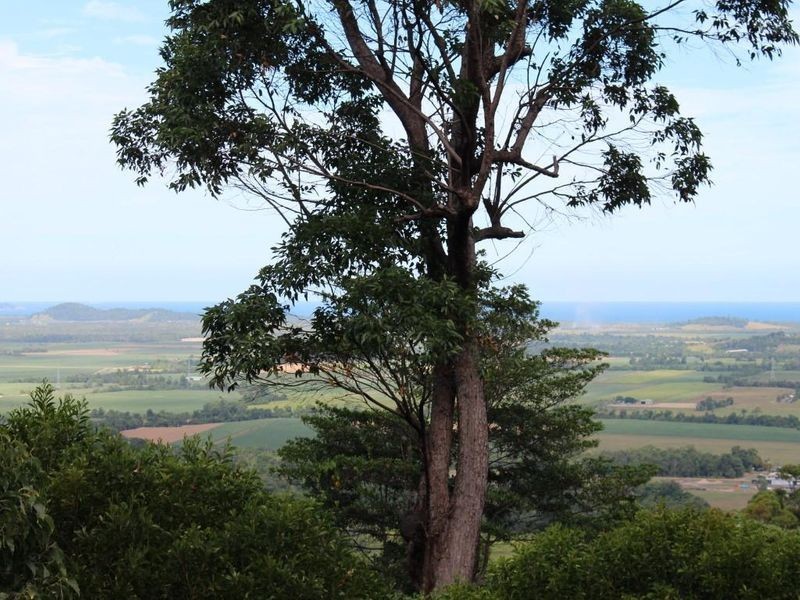 19/Lot 19 Bilic Road, Shell Pocket QLD 4855