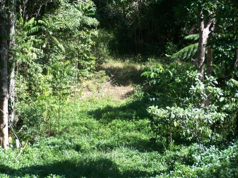 20/15 Maple Terrace, Tully QLD 4854