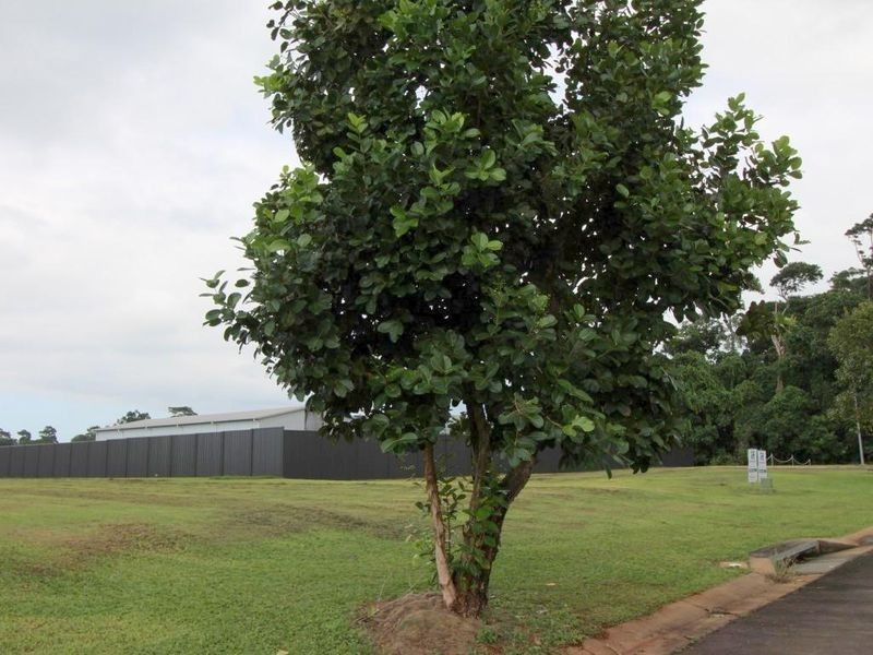 43-74 Campbell Street, Mission Beach QLD 4852