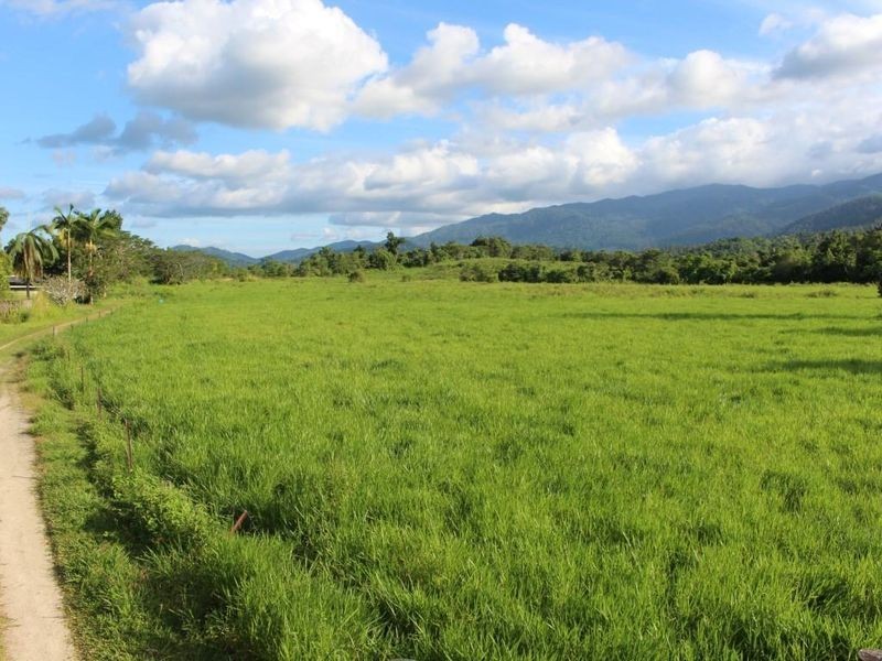 43,45, 46, 80/115 Reichardt Road, No 4 Branch QLD 4856