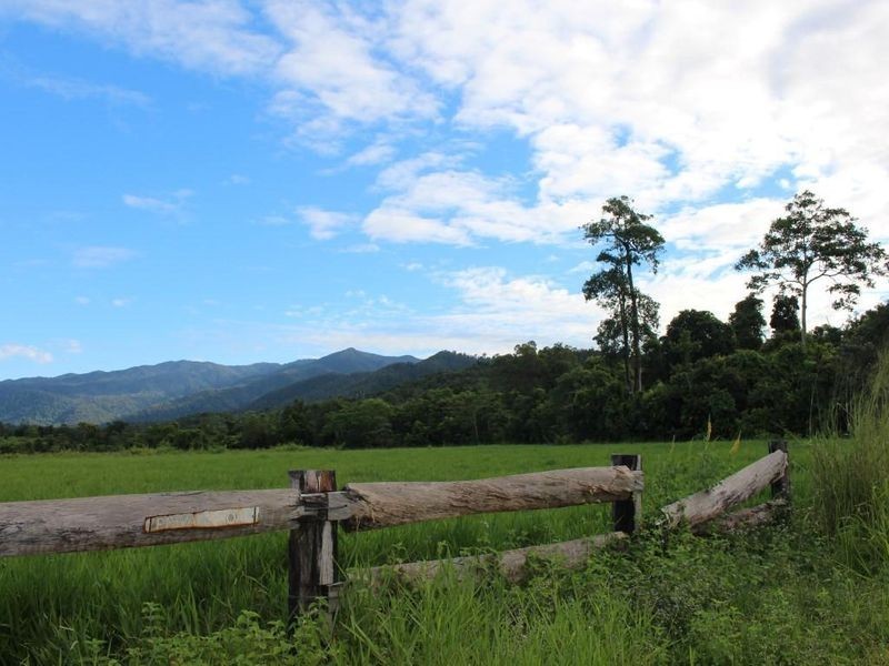 43,45, 46, 80/115 Reichardt Road, No 4 Branch QLD 4856