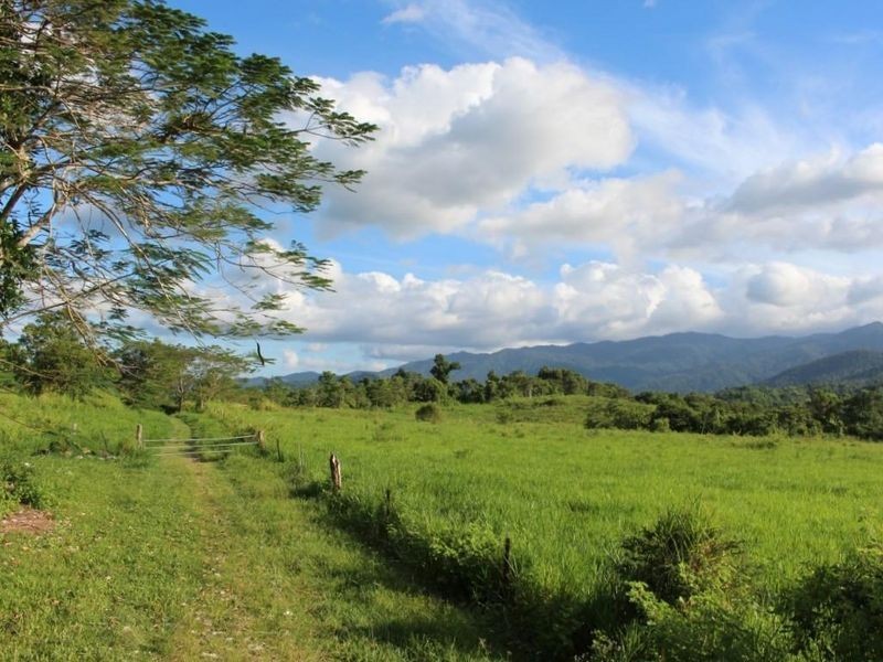 43,45, 46, 80/115 Reichardt Road, No 4 Branch QLD 4856