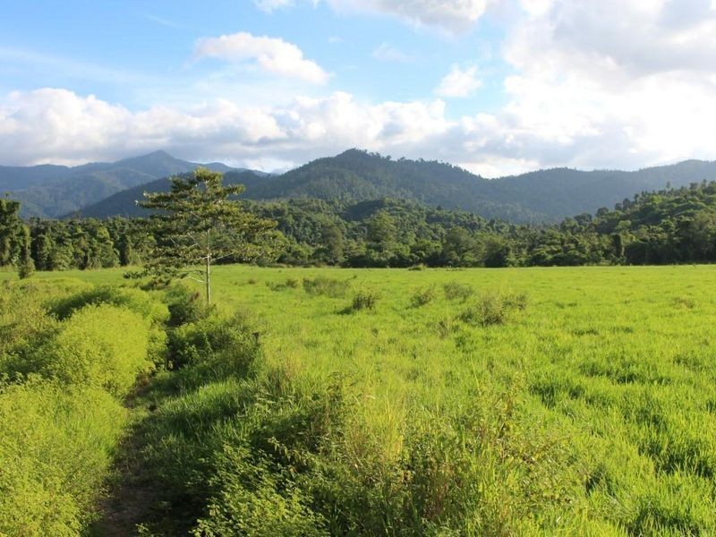 43,45, 46, 80/115 Reichardt Road, No 4 Branch QLD 4856