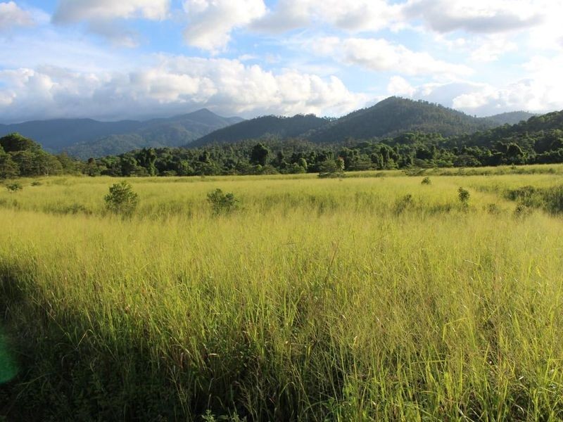 43,45, 46, 80/115 Reichardt Road, No 4 Branch QLD 4856