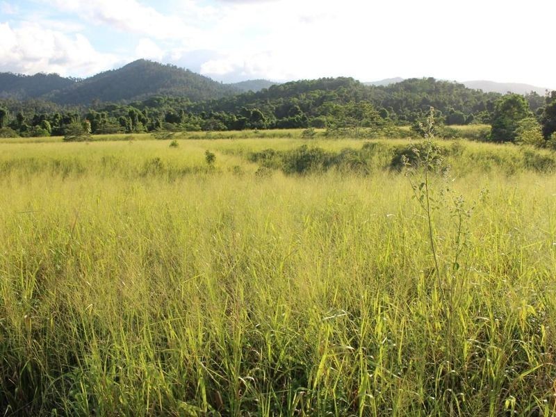 43,45, 46, 80/115 Reichardt Road, No 4 Branch QLD 4856