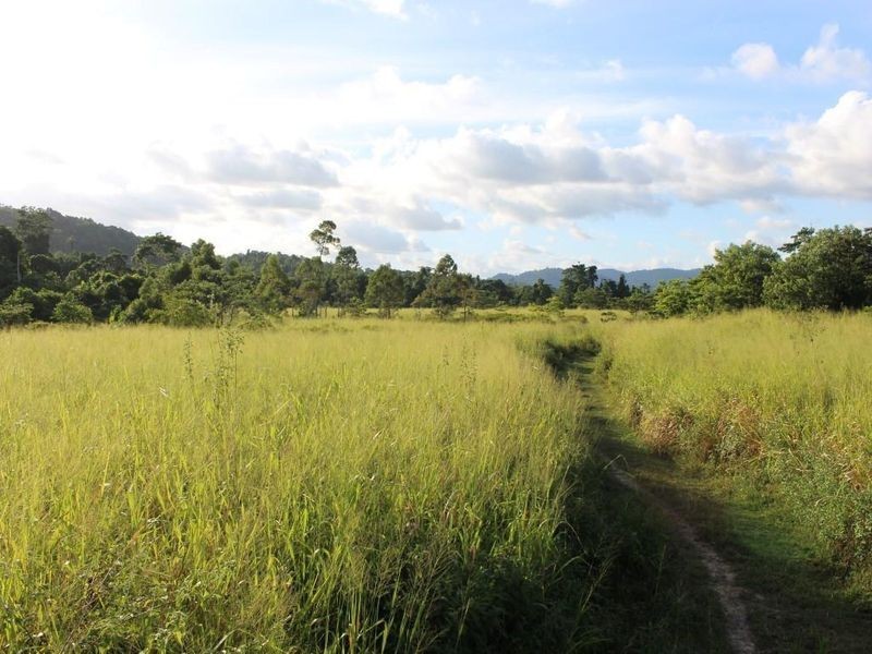 43,45, 46, 80/115 Reichardt Road, No 4 Branch QLD 4856