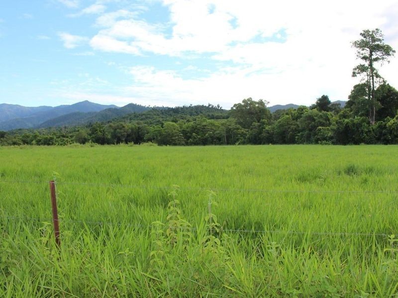 43,45, 46, 80/115 Reichardt Road, No 4 Branch QLD 4856