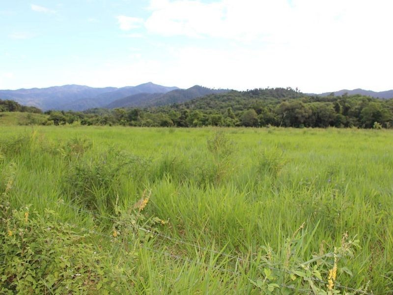 43,45, 46, 80/115 Reichardt Road, No 4 Branch QLD 4856