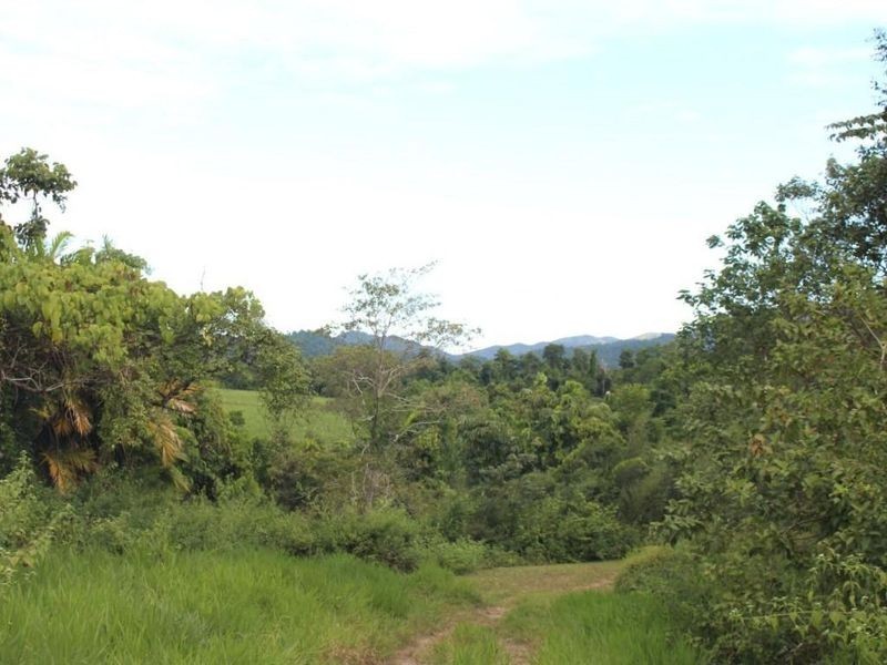 43,45, 46, 80/115 Reichardt Road, No 4 Branch QLD 4856