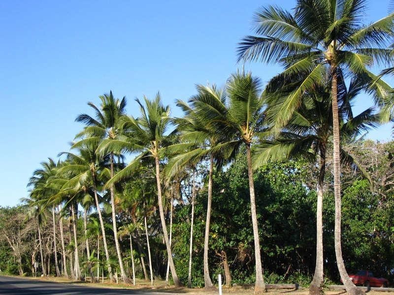 Lot 55/55 Seagull Close, Mission Beach QLD 4852