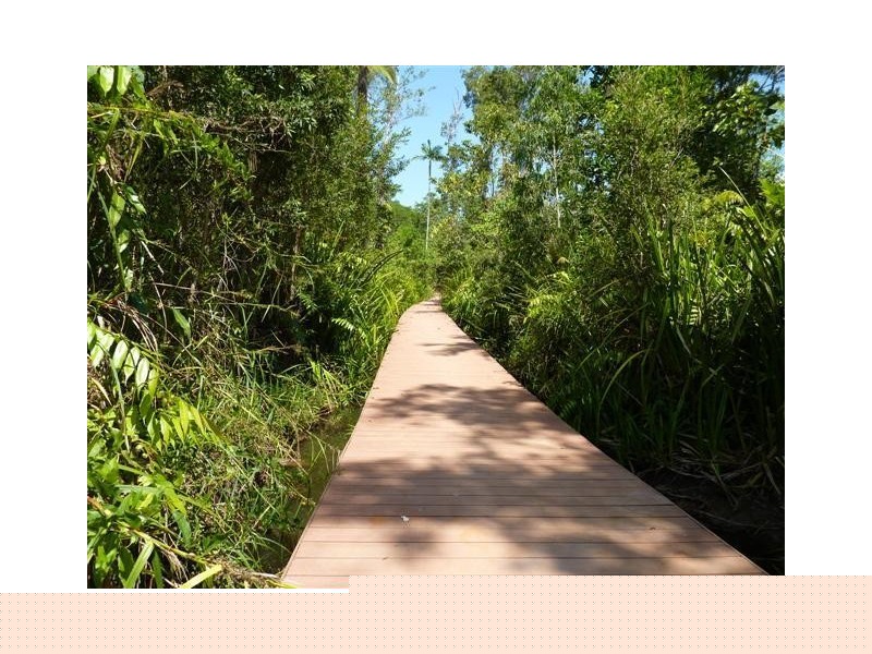 159/Lot 159 Shelly Court, Mission Beach QLD 4852