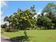 159/Lot 159 Shelly Court, Mission Beach QLD 4852