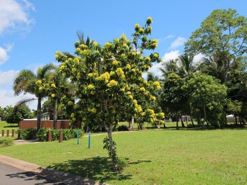 159/Lot 159 Shelly Court, Mission Beach QLD 4852