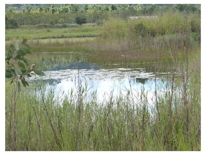 589/Lot 589 Old Telegraph Road, East Feluga QLD 4854