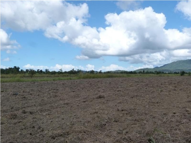 589/Lot 589 Old Telegraph Road, East Feluga QLD 4854