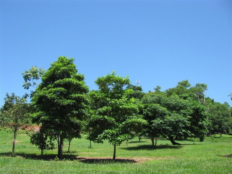 47/33 Jackey Jackey Street, South Mission Beach QLD 4852