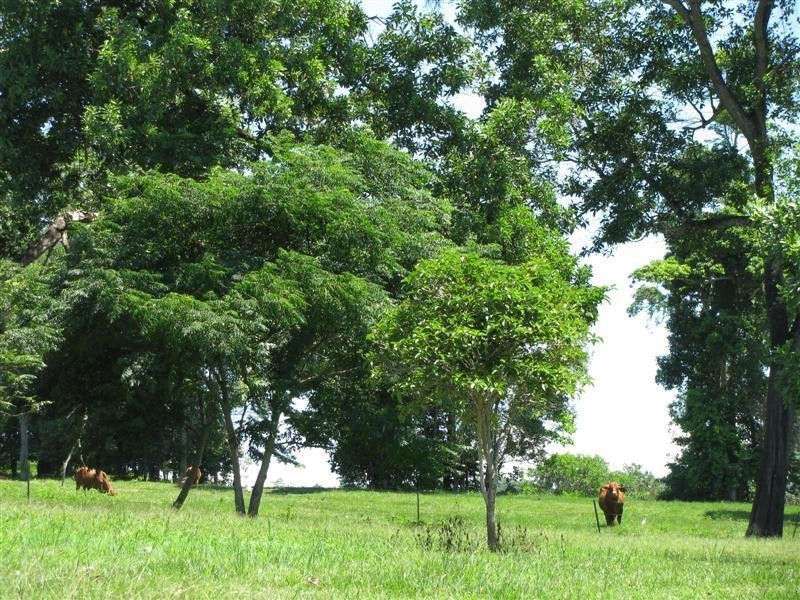 47/33 Jackey Jackey Street, South Mission Beach QLD 4852