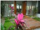 8 Koda Street, Wongaling Beach QLD 4852