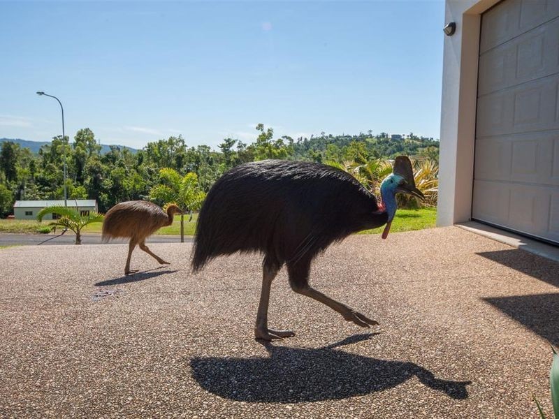 15 Riverside Terrace, South Mission Beach QLD 4852