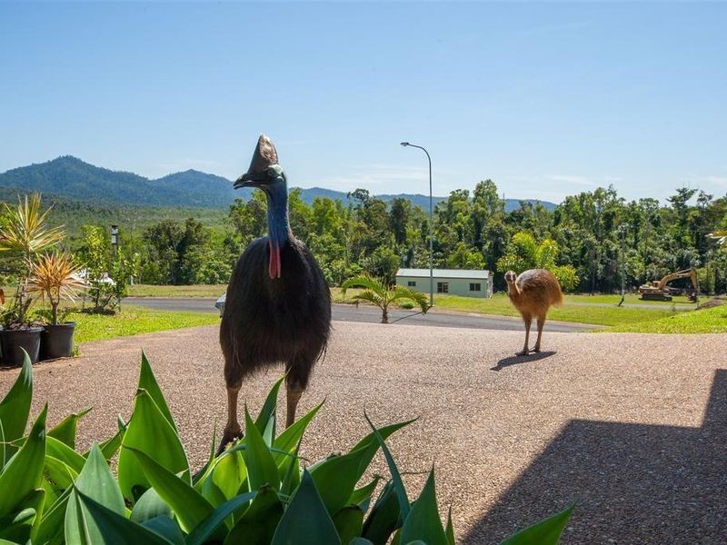 15 Riverside Terrace, South Mission Beach QLD 4852