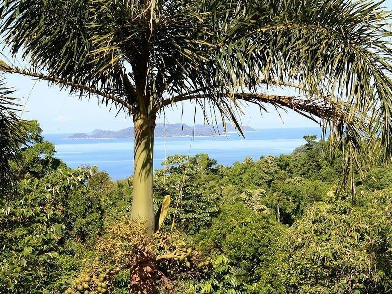 12 Explorers Drive, South Mission Beach QLD 4852