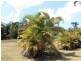 819 East Feluga Road, East Feluga QLD 4854