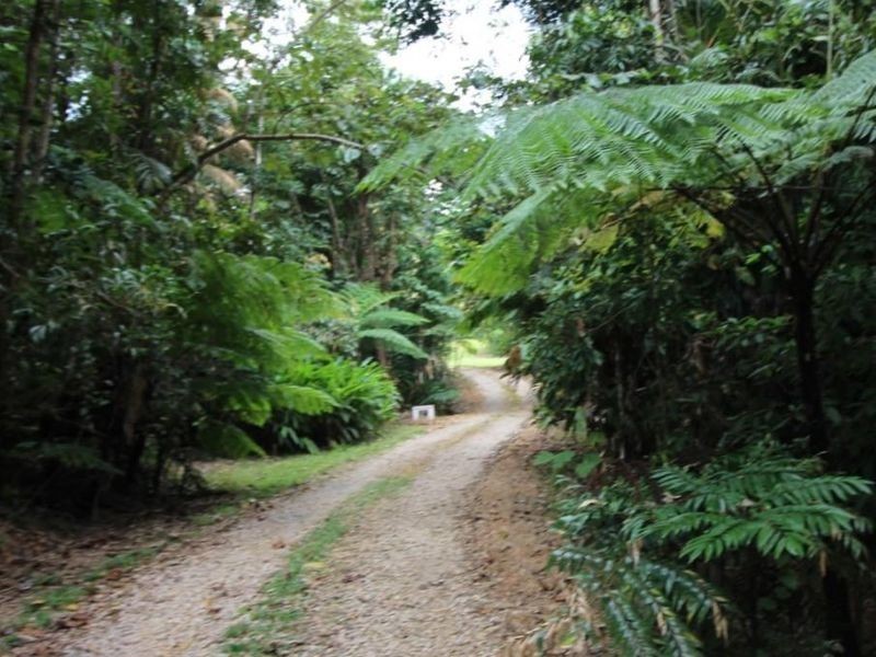 814 Silkwood Japoon Road, No 4 Branch QLD 4856