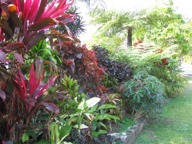 8/3 Hutchison Close, Mission Beach QLD 4852