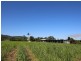 4 Silkwood Japoon Road, Japoonvale QLD 4856