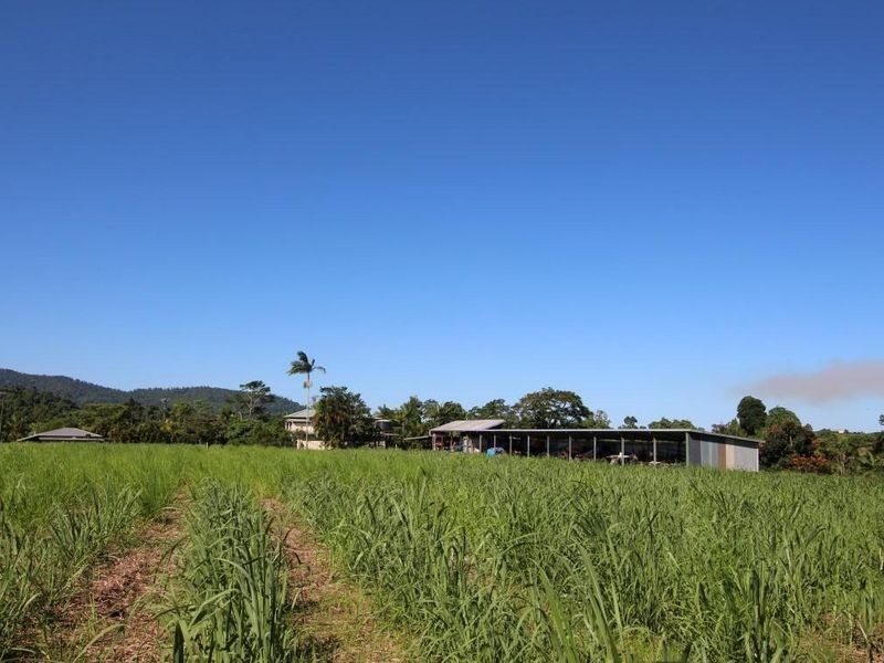 4 Silkwood Japoon Road, Japoonvale QLD 4856