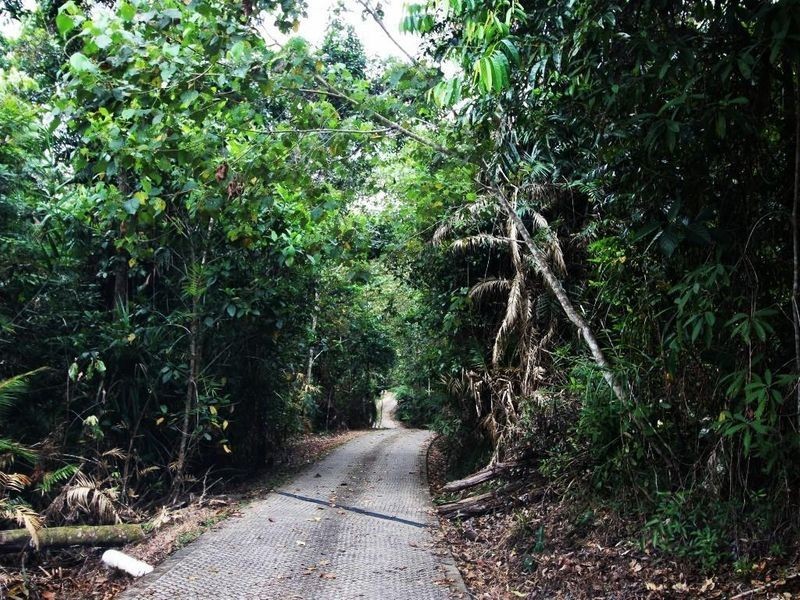 814 Silkwood Japoon Road, No 4 Branch QLD 4856