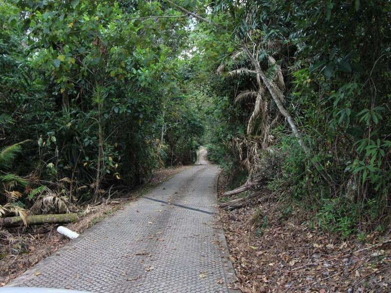 814 Silkwood Japoon Road, No 4 Branch QLD 4856