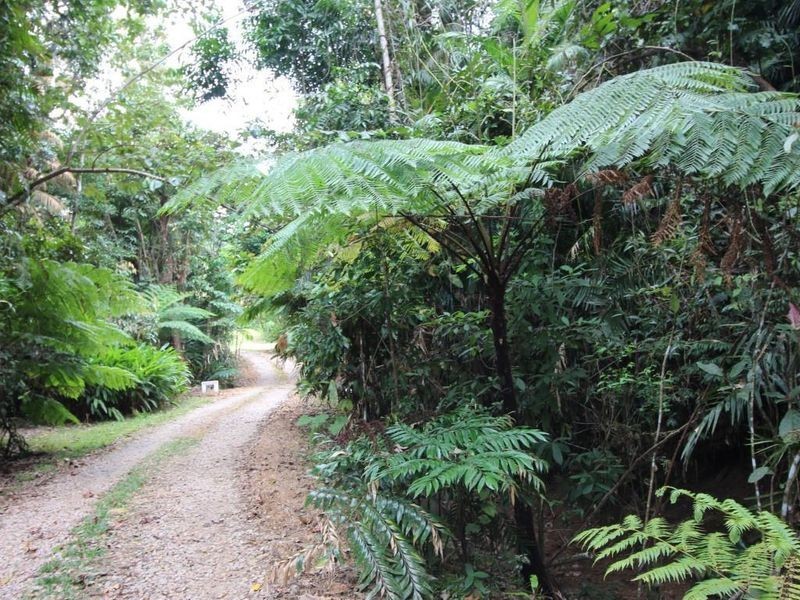 814 Silkwood Japoon Road, No 4 Branch QLD 4856