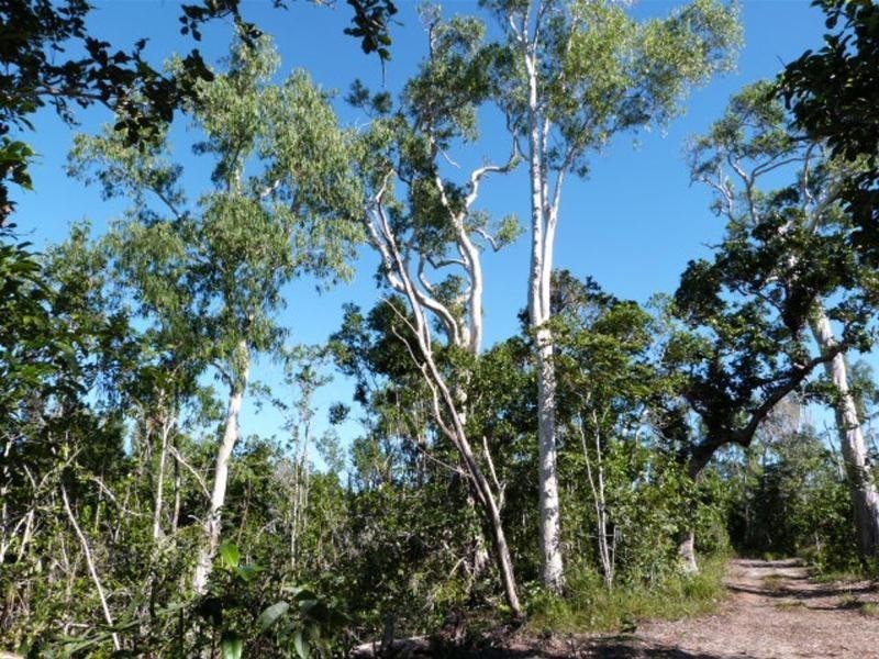 25/71 Koda Street, Wongaling Beach QLD 4852