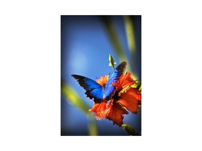 L7/13 Unsworth Drive, Mission Beach QLD 4852