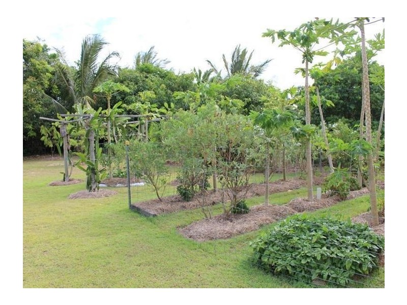104 Tully Heads Road, Tully Heads QLD 4854