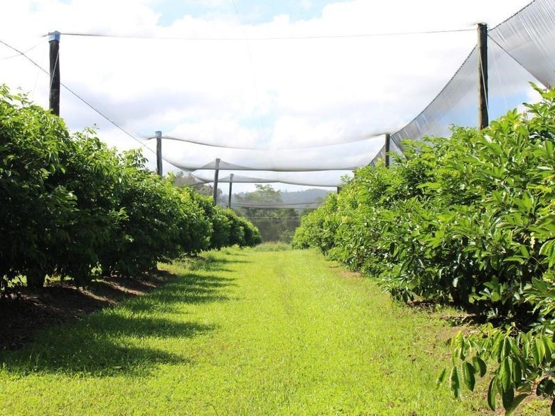 922 Granadilla Road, Granadilla QLD 4855