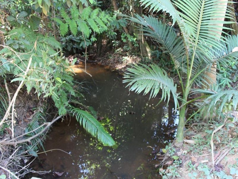 922 Granadilla Road, Granadilla QLD 4855