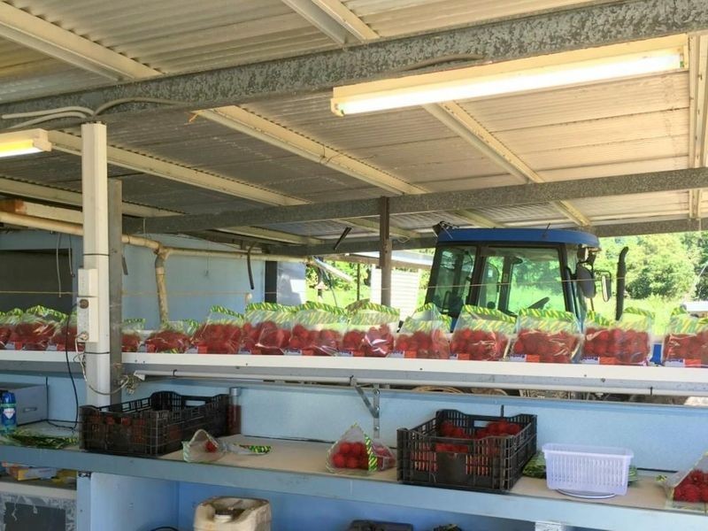 922 Granadilla Road, Granadilla QLD 4855