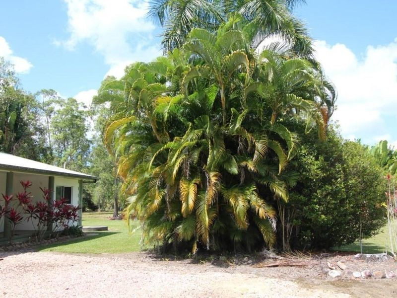 819 East Feluga Road, East Feluga QLD 4854