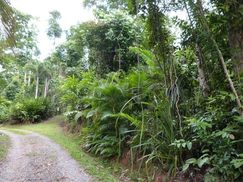 5/5 Bingil Bay Road, Bingil Bay QLD 4852