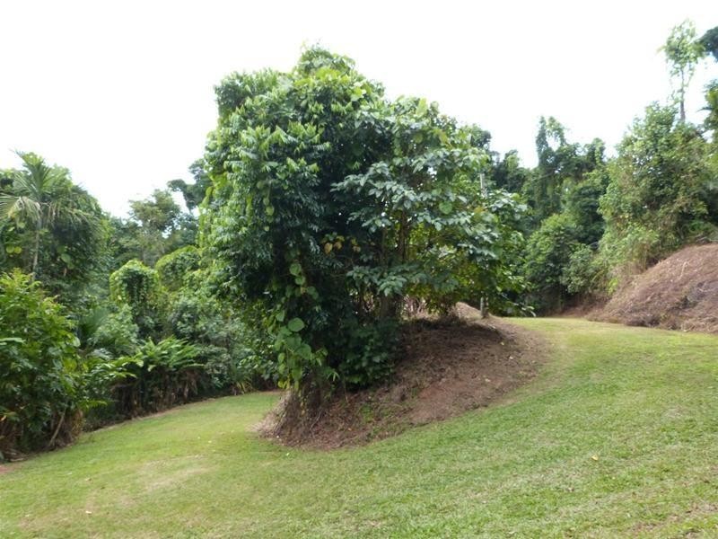 5/5 Bingil Bay Road, Bingil Bay QLD 4852