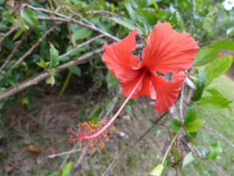 5/5 Bingil Bay Road, Bingil Bay QLD 4852