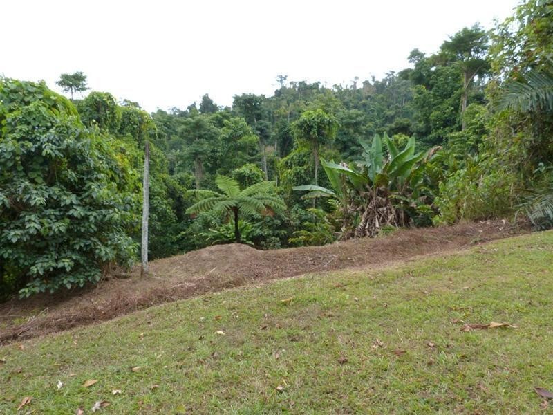 5/5 Bingil Bay Road, Bingil Bay QLD 4852