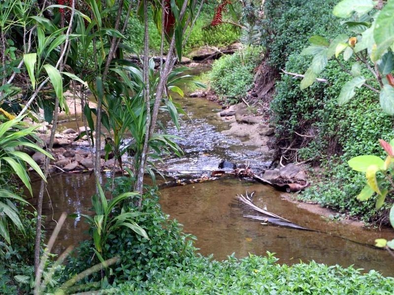 2 Feluga Road, Feluga QLD 4854