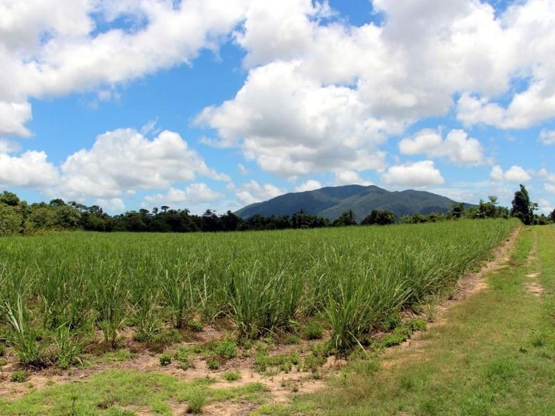 2 Feluga Road, Feluga QLD 4854