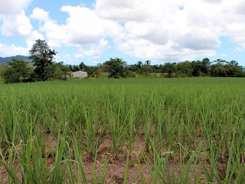 2 Feluga Road, Feluga QLD 4854